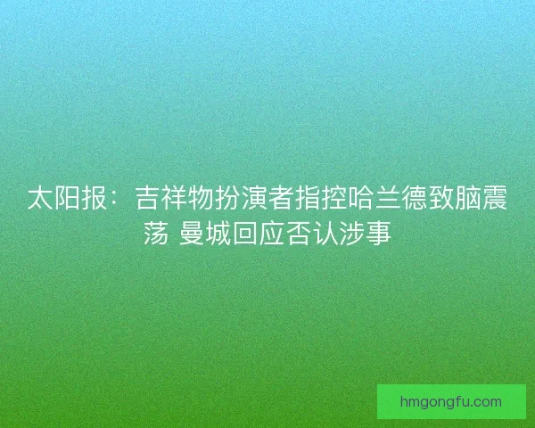 太阳报：吉祥物扮演者指控哈兰德致脑震荡 曼城回应否认涉事